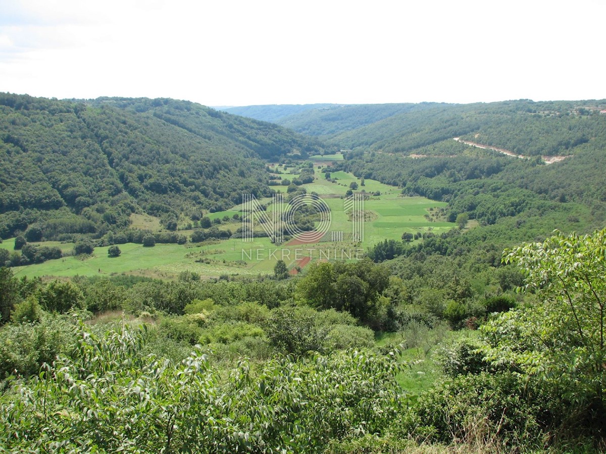 Terreno In vendita - ISTARSKA TINJAN