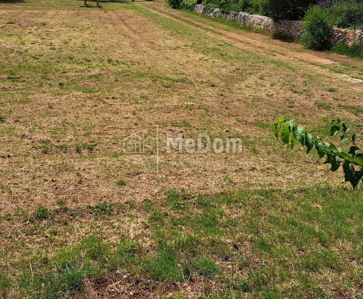 Land For sale - ISTARSKA VODNJAN