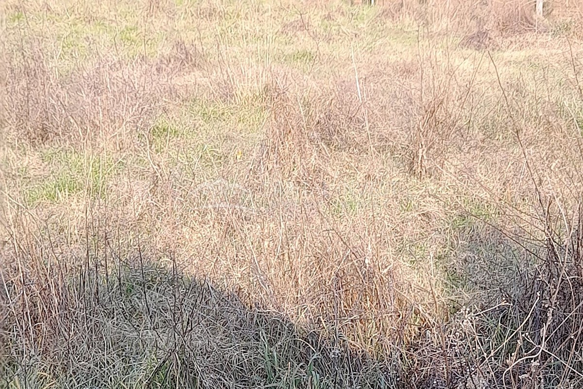 Pozemek Na prodej - ISTARSKA MARČANA