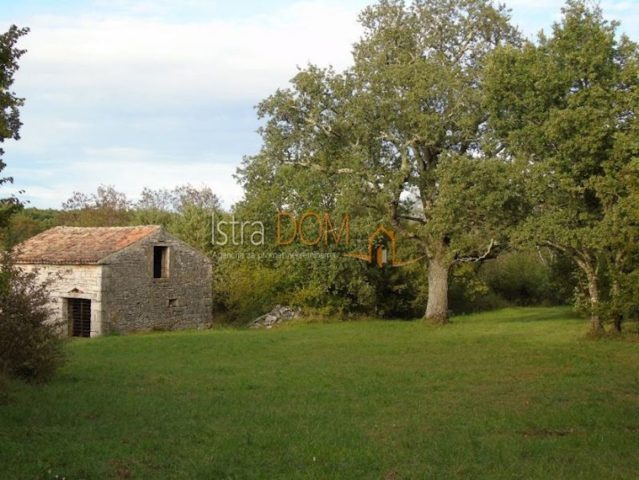 Haus Zu verkaufen - Istarska Kanfanar - foto 3/9