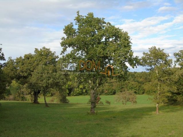 Haus Zu verkaufen - Istarska Kanfanar - foto 4/9