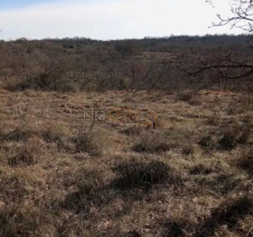 Land for sale 20600 m² – Krnica