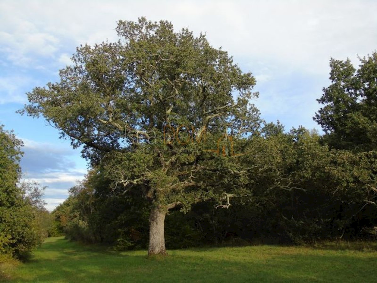 Terreno In vendita - ISTARSKA KANFANAR