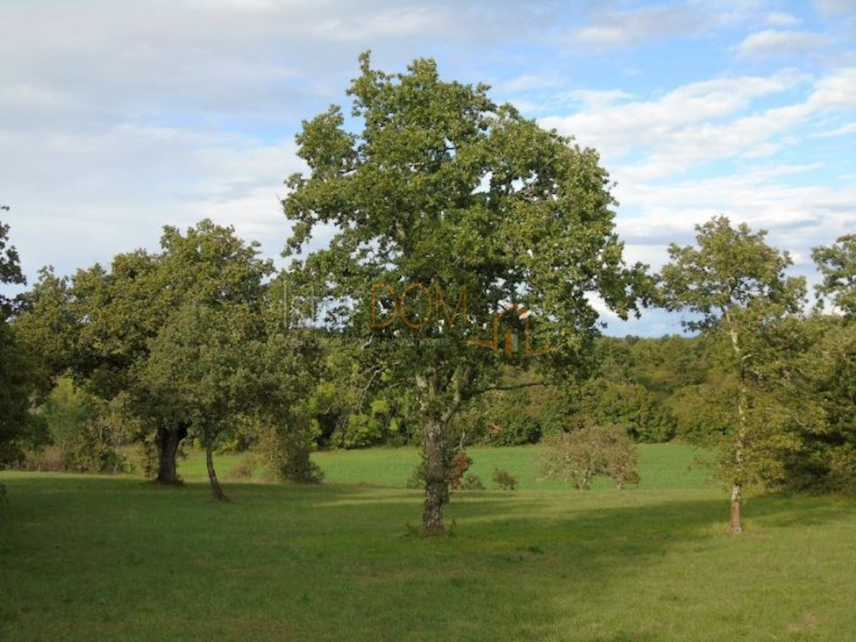 Terreno In vendita - ISTARSKA KANFANAR