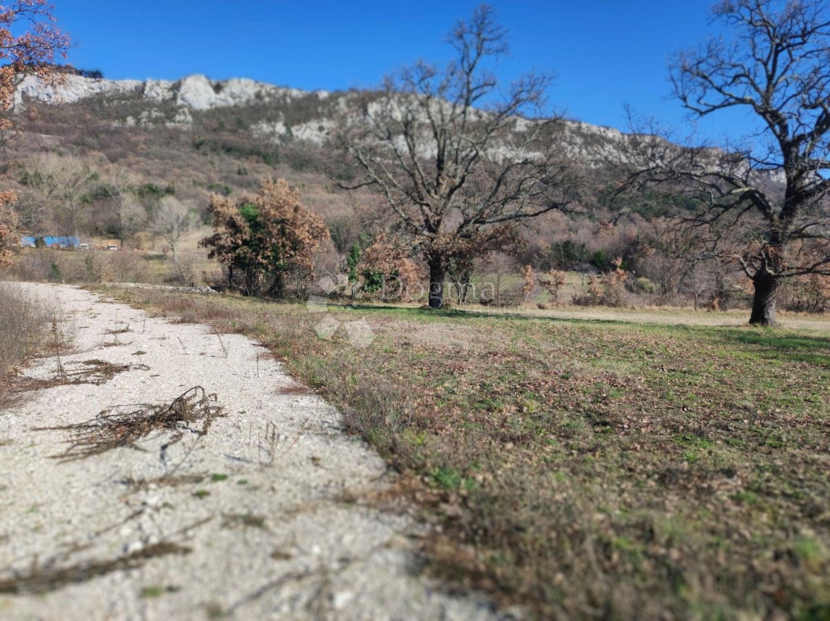 Terrain À vendre - ISTARSKA BUZET