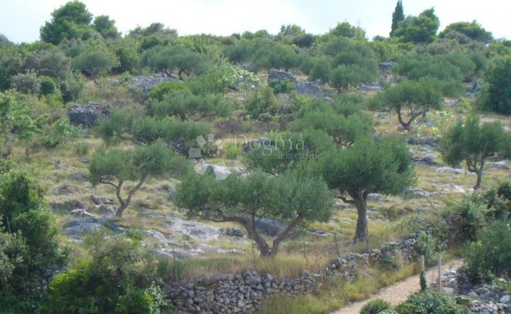 Terrain à vendre 6852 m² – Mirca