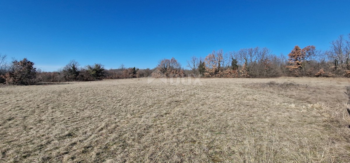 Terreno In vendita - ISTARSKA ŽMINJ