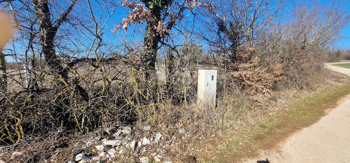 Terreno In vendita - ISTARSKA ŽMINJ