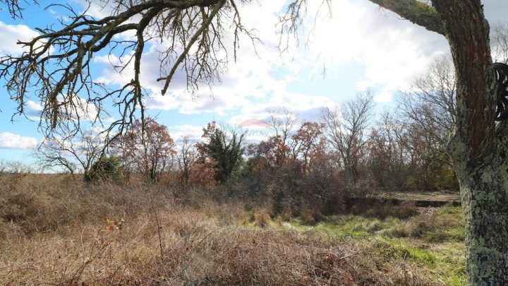 Terrain à vendre 2232 m² – Višnjan
