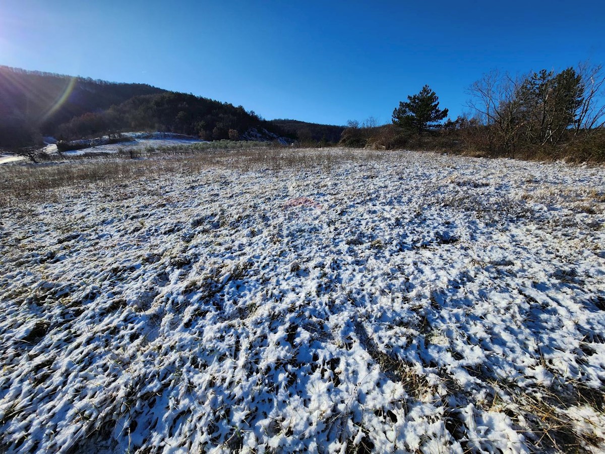 Terreno In vendita - ISTARSKA KAROJBA