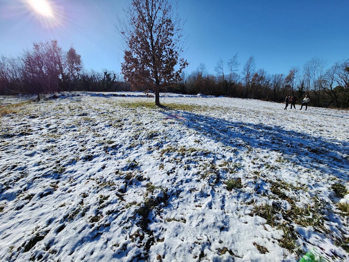 Terreno In vendita - ISTARSKA KAROJBA