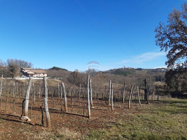 Terrain à vendre 4674 m² – Novaki Motovunski