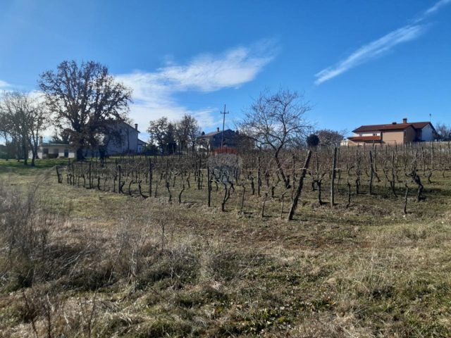 Pozemek Na prodej - Istarska Karojba - foto 2/10