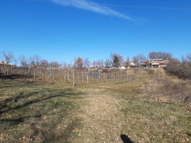 Pozemek Na prodej - Istarska Karojba - foto 3/10