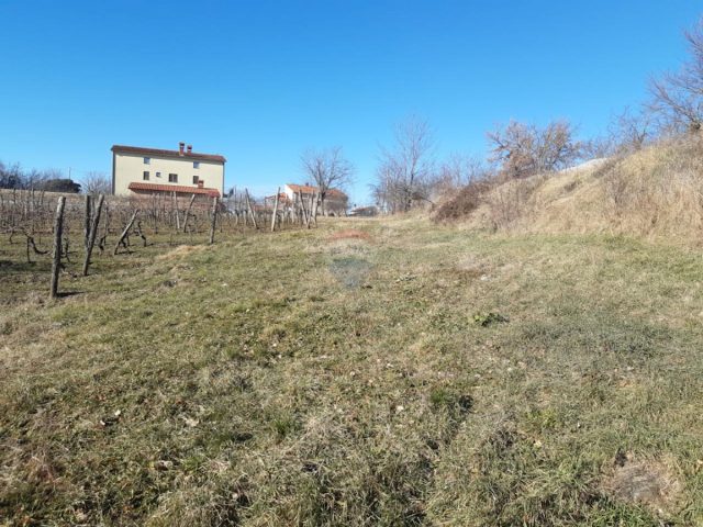 Pozemek Na prodej - Istarska Karojba - foto 5/10