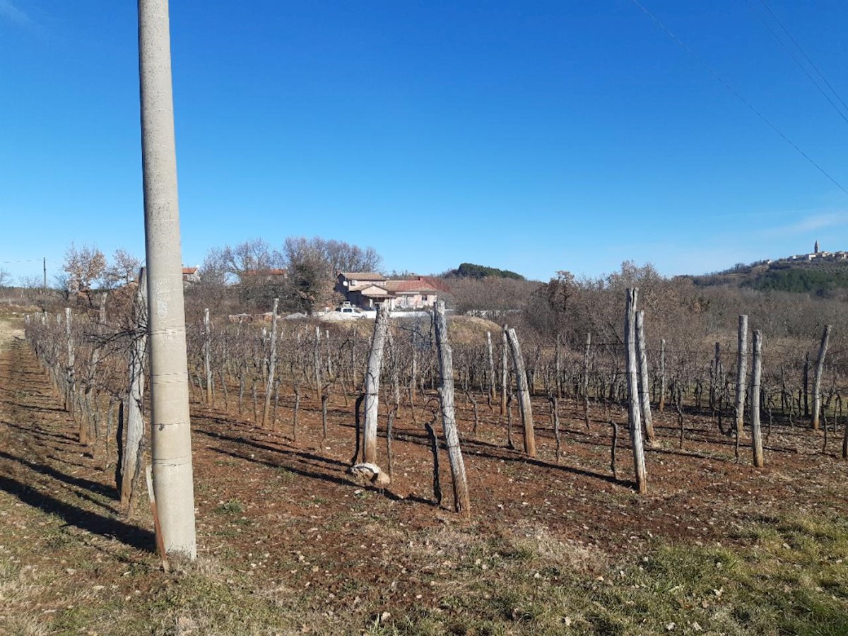 Zemljište Na prodaju - ISTARSKA KAROJBA