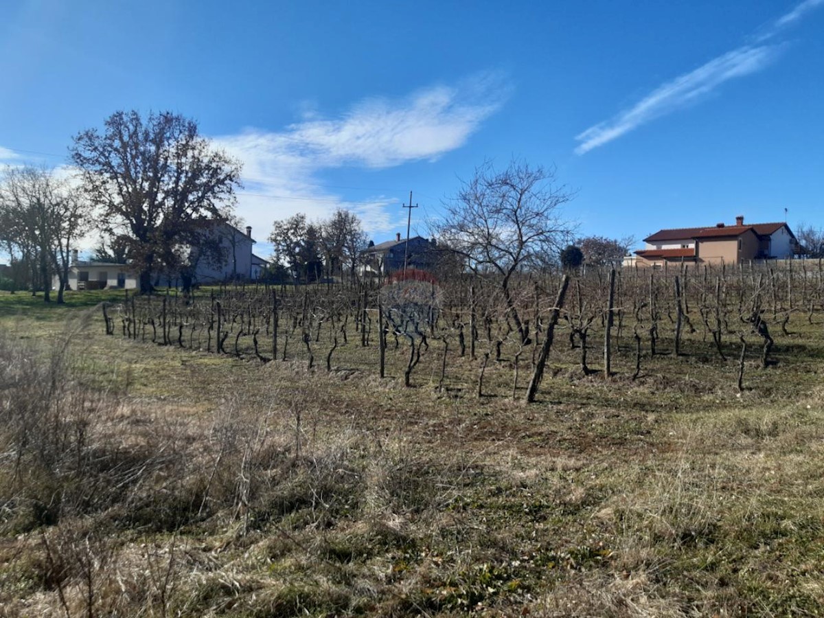 Zemljište Na prodaju - ISTARSKA KAROJBA