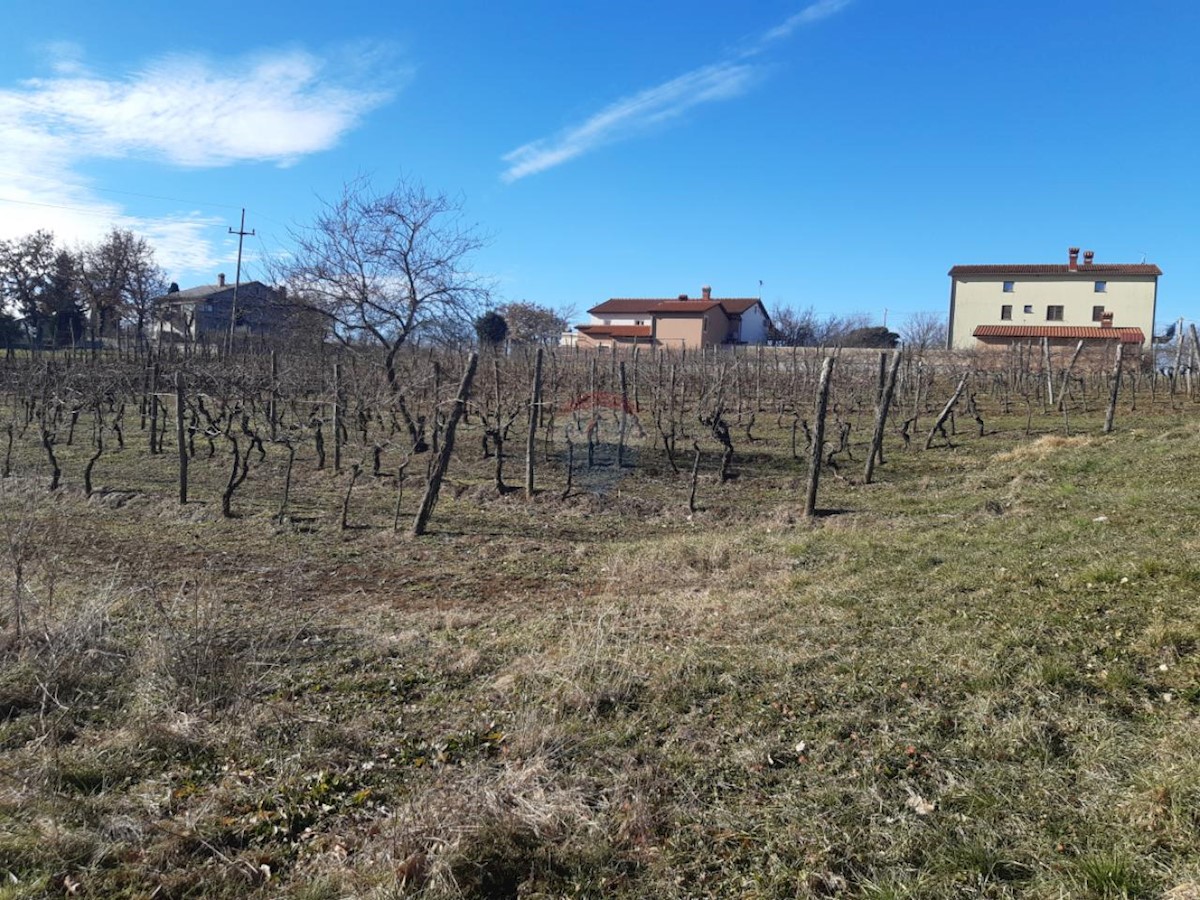 Terreno In vendita - ISTARSKA KAROJBA