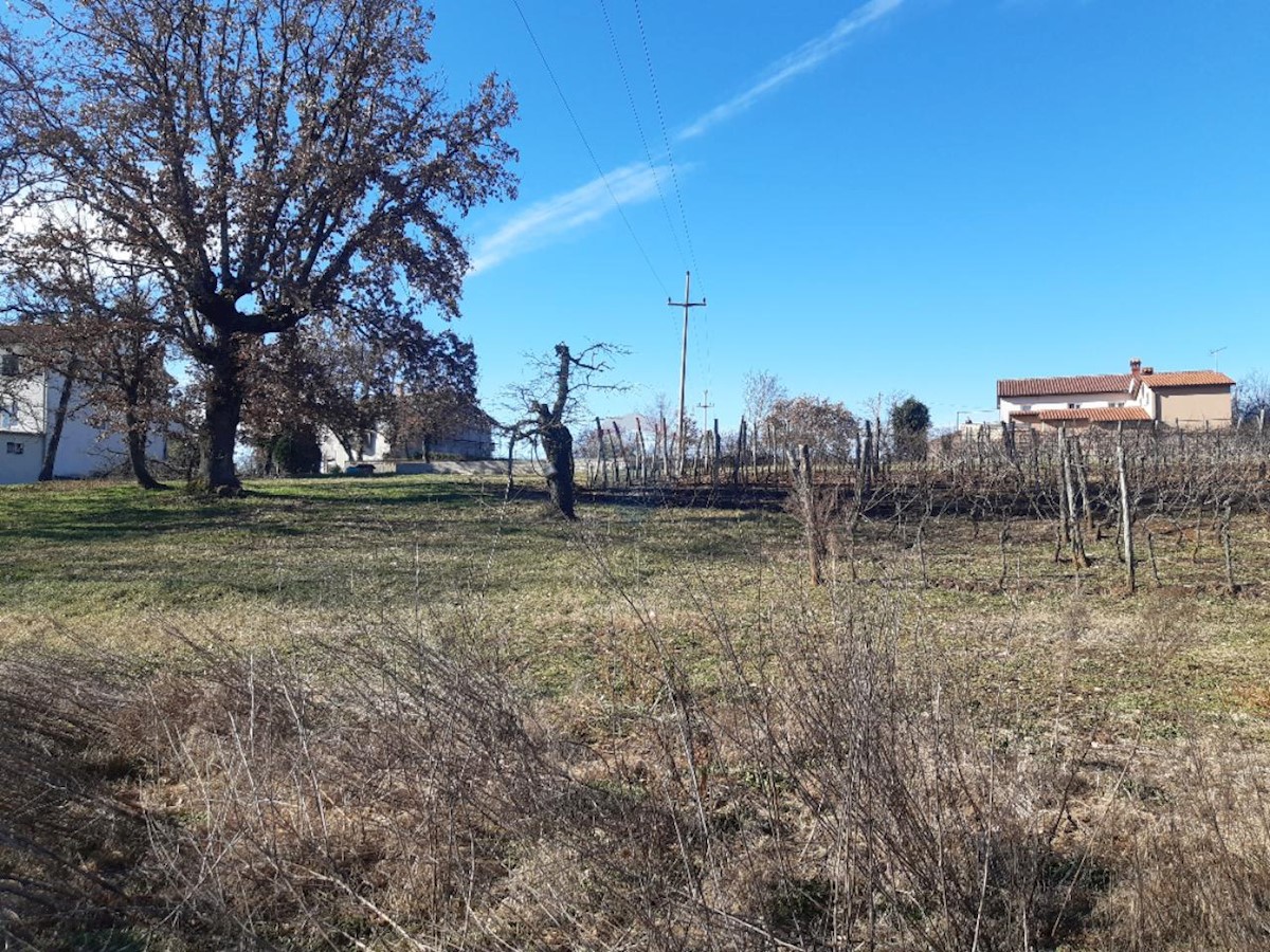 Terreno In vendita - ISTARSKA KAROJBA