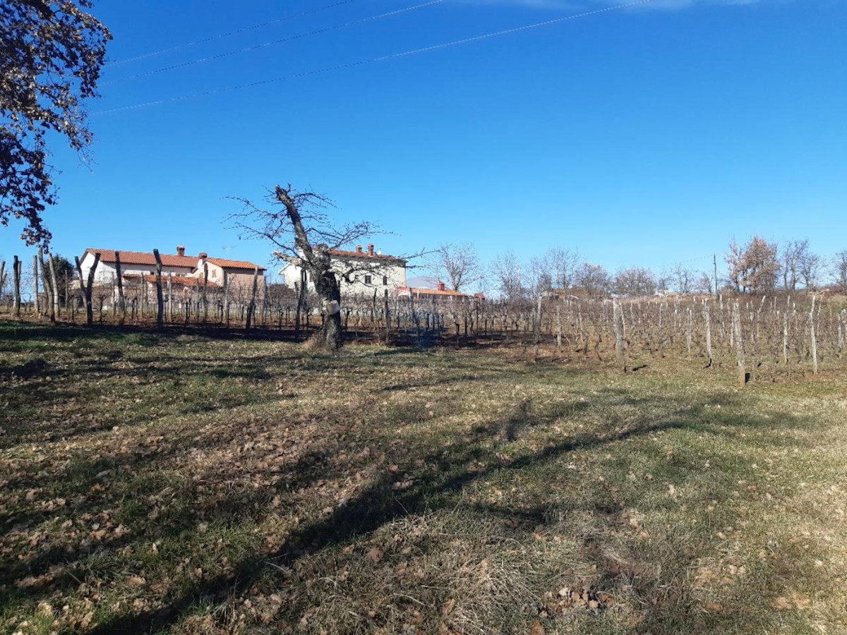 Terreno In vendita - ISTARSKA KAROJBA