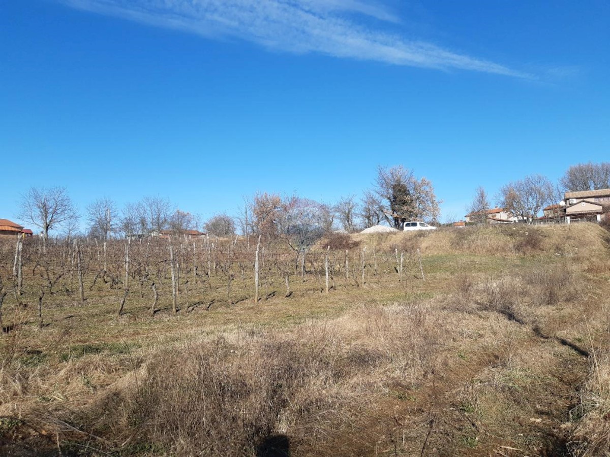 Zemljište Na prodaju - ISTARSKA KAROJBA