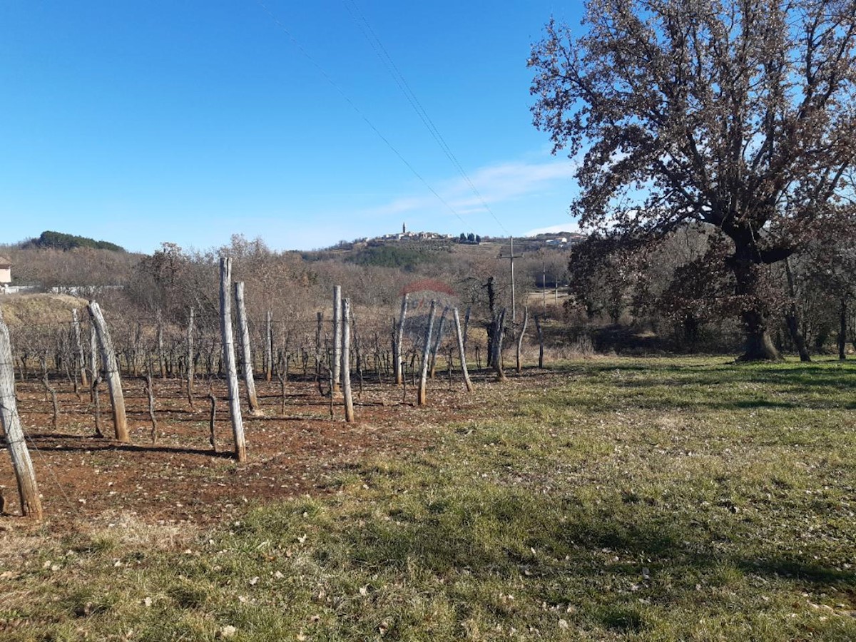 Terreno In vendita - ISTARSKA KAROJBA