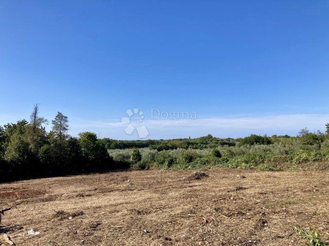 Pozemek na prodej 2195 m² – Brtonigla