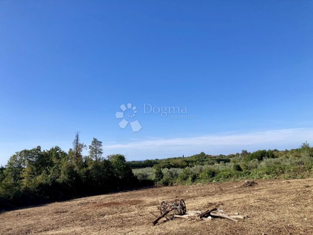 Terreno In vendita - Istarska Brtonigla - foto 2/5