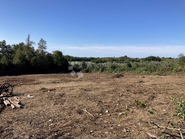 Terreno In vendita - Istarska Brtonigla - foto 3/5