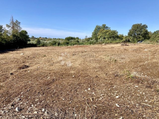 Terreno In vendita - Istarska Brtonigla - foto 4/5
