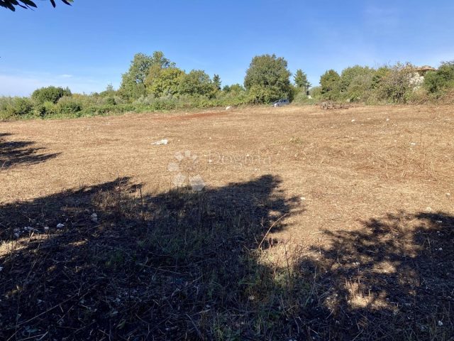 Terreno In vendita - Istarska Brtonigla - foto 5/5