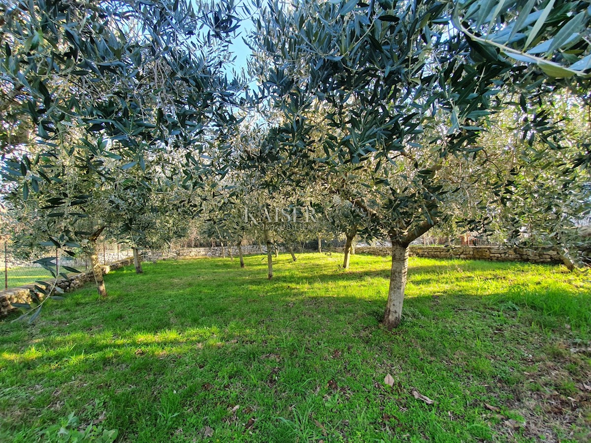 Dům Na prodej - ISTARSKA POREČ