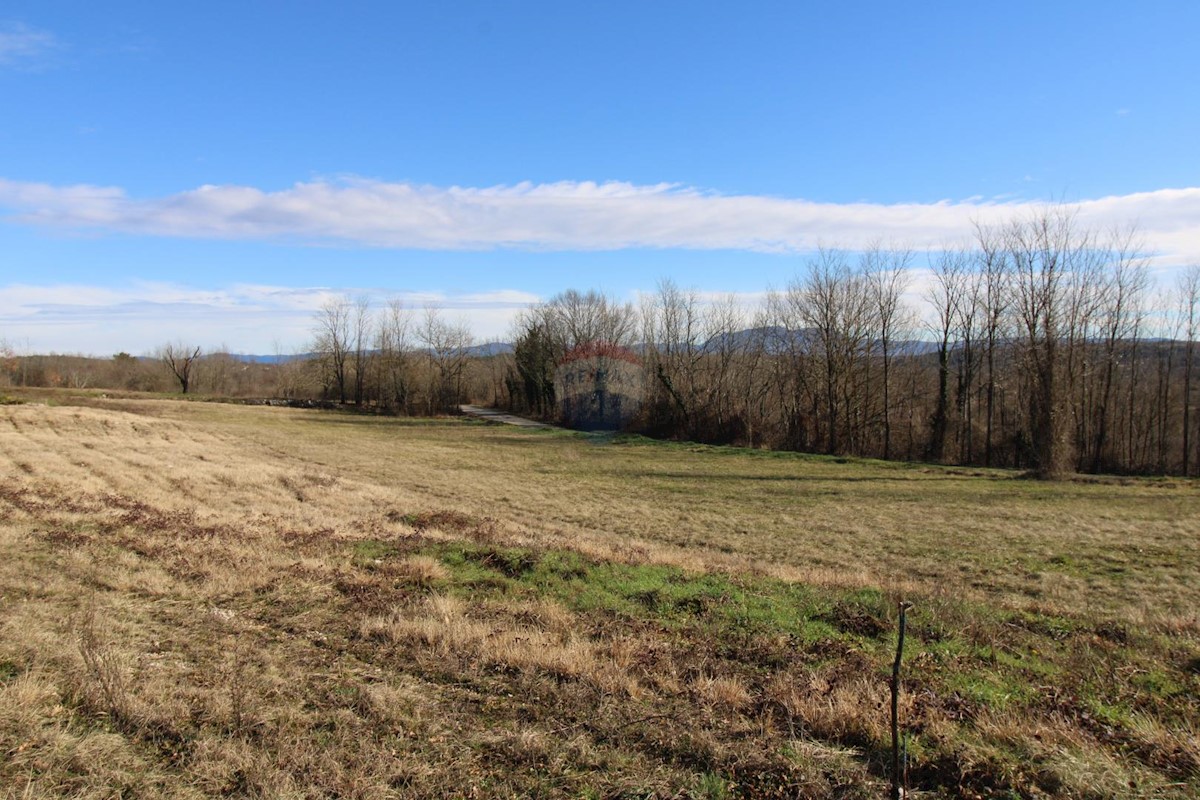 Terreno In vendita - ISTARSKA PAZIN