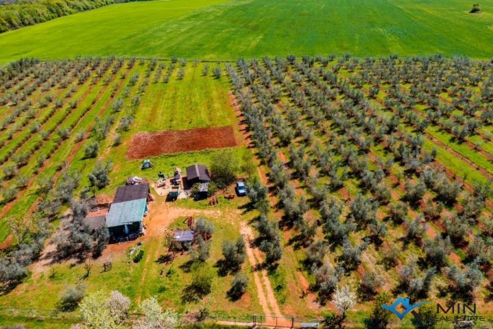 Grundstück zu verkaufen 46 m² – Novigrad
