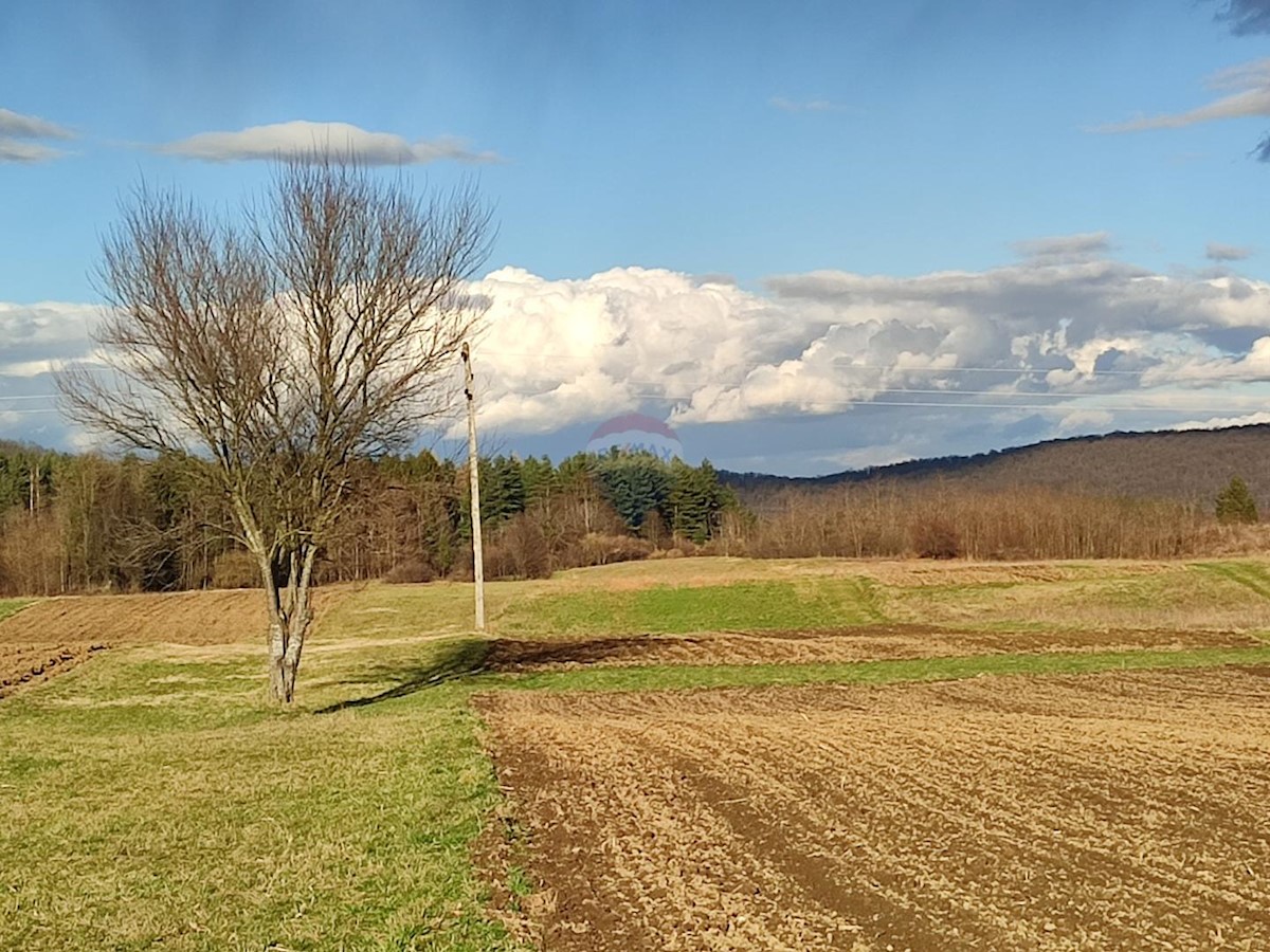 Pozemok Na predaj OTOK OŠTARIJSKI