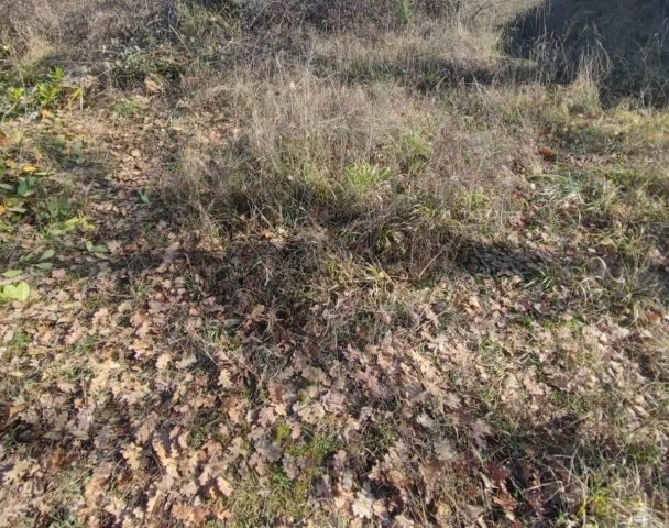 Działka na sprzedaż 2157 m² – Kras
