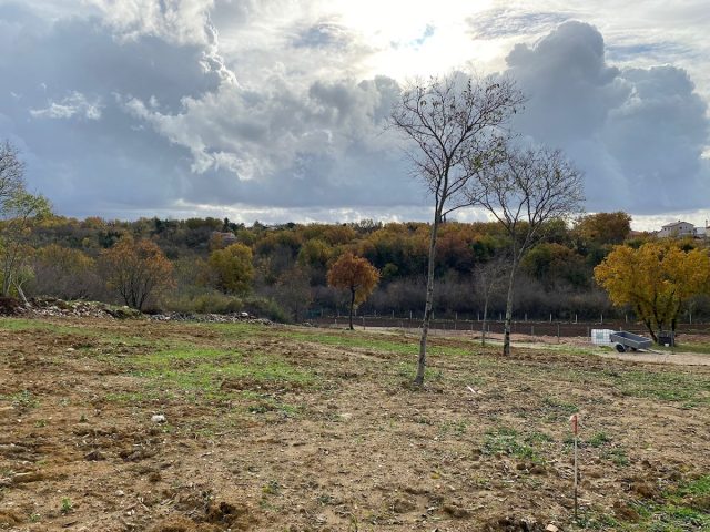 Land for sale 1744 m² – Buje