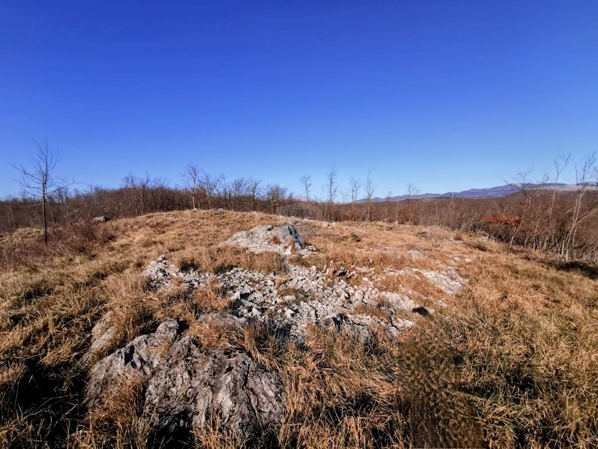 Land For sale - Primorsko-goranska Klana - foto 2/3
