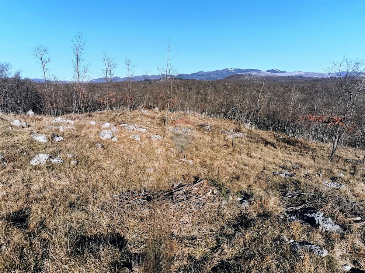 Parcela Naprodaj - PRIMORSKO-GORANSKA Klana