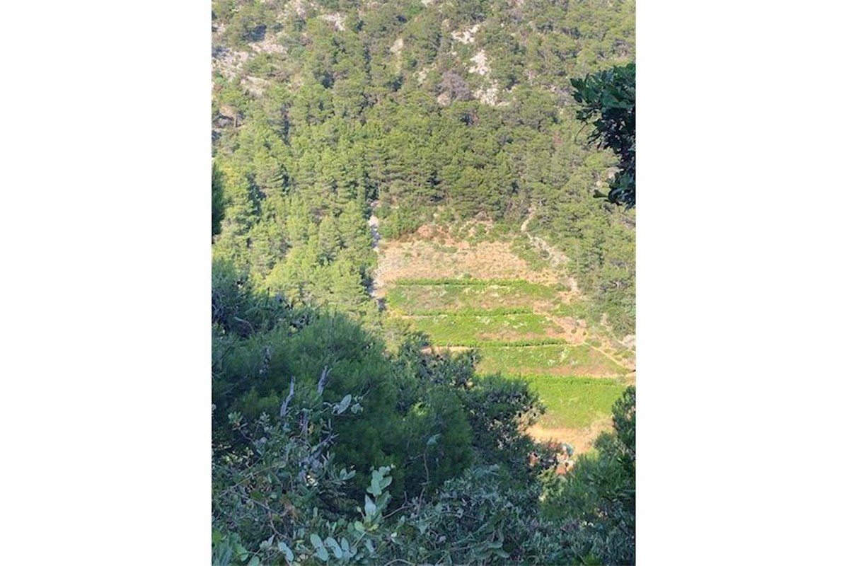 Land For sale - SPLITSKO-DALMATINSKA HVAR