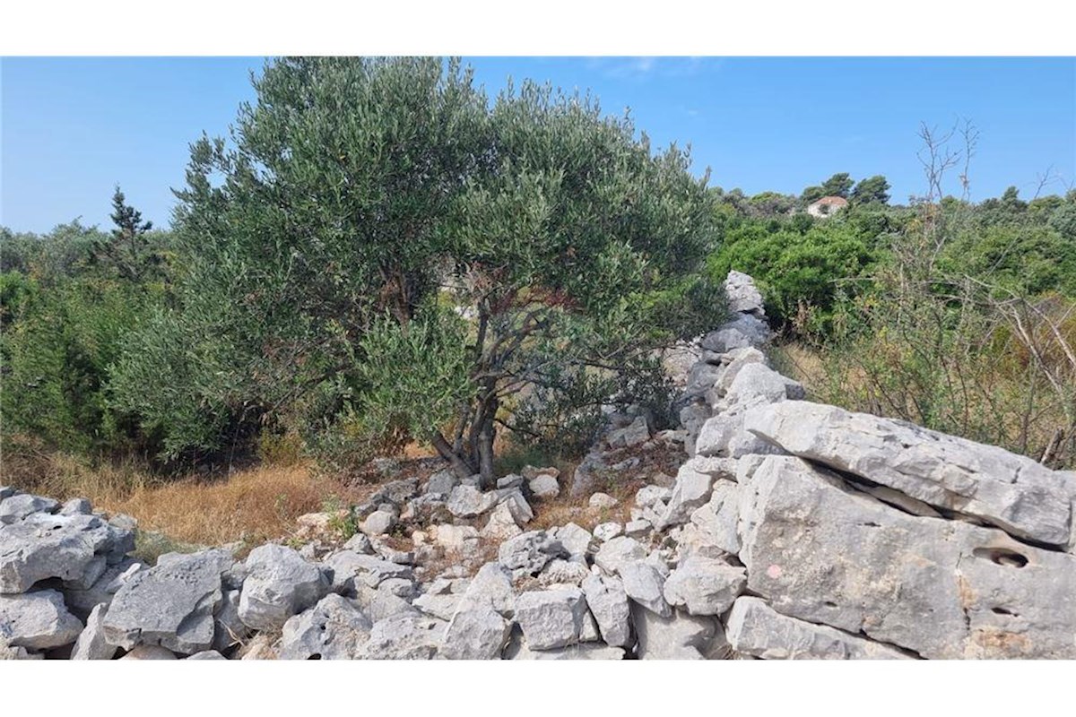 Terreno In vendita - SPLITSKO-DALMATINSKA TROGIR