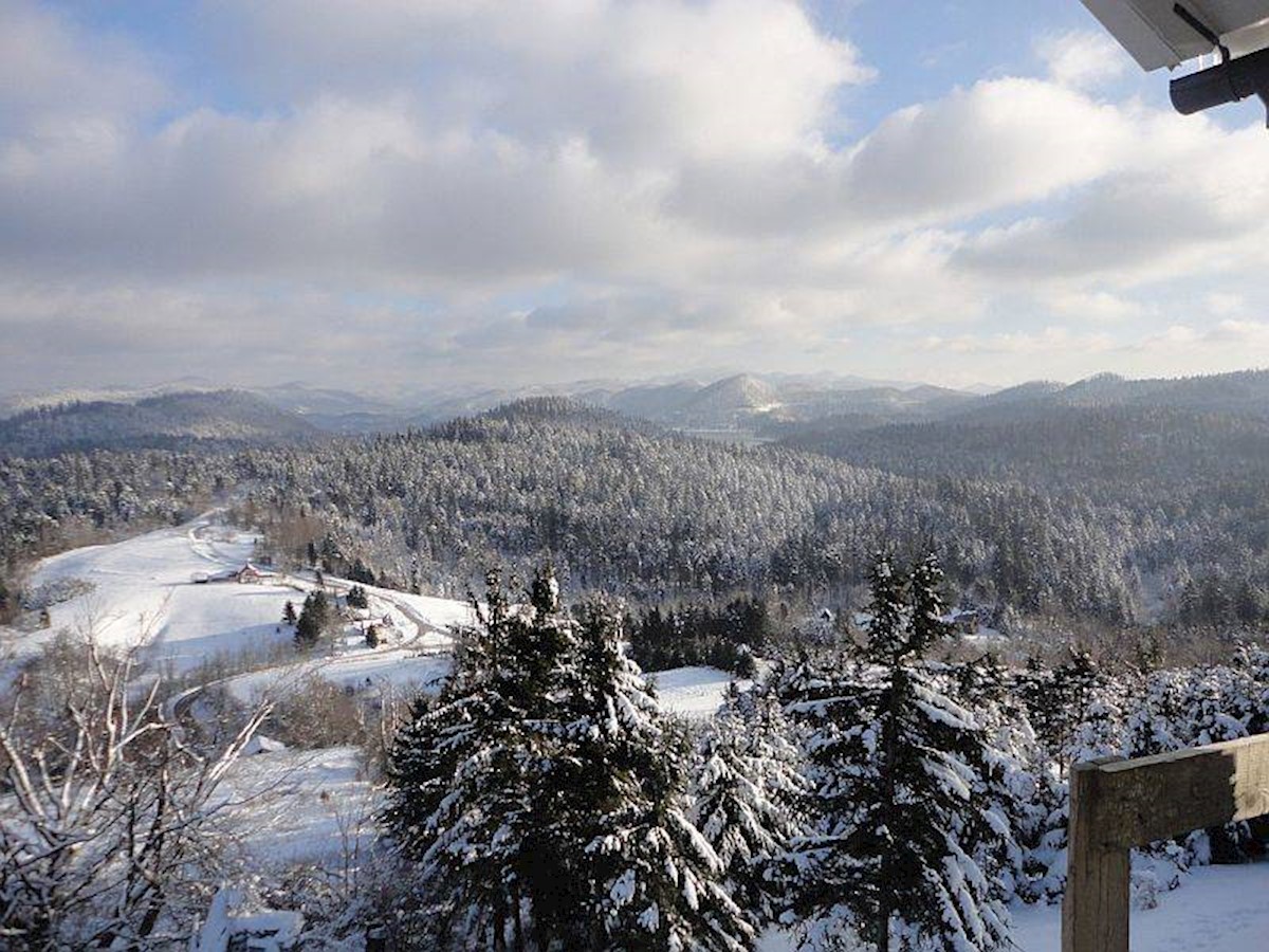 Kuća Na prodaju - PRIMORSKO-GORANSKA DELNICE