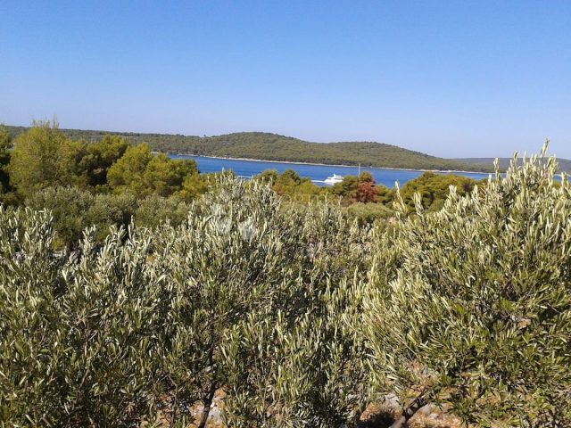 Land for sale – Milna
