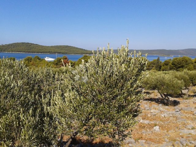 Parcela Naprodaj - Splitsko-dalmatinska Brač - foto 2/10