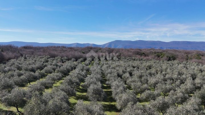 Parcela Na predaj - Primorsko-goranska Krk - foto 4/13