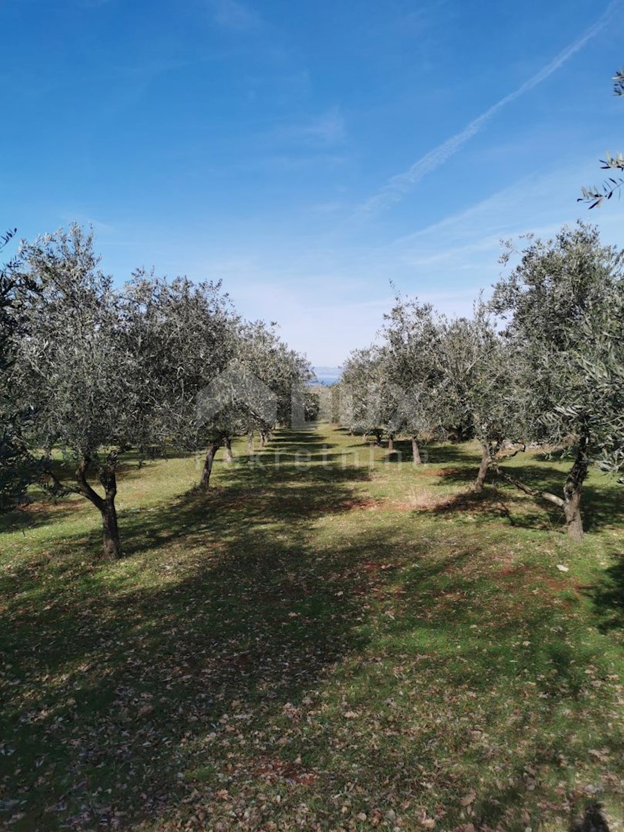 Terreno In vendita - PRIMORSKO-GORANSKA KRK