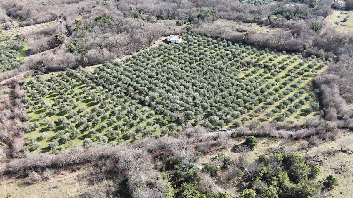 Terreno In vendita - PRIMORSKO-GORANSKA KRK