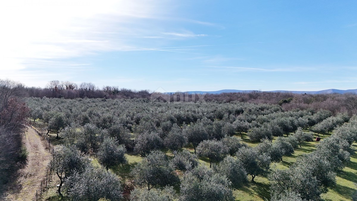 Terreno In vendita - PRIMORSKO-GORANSKA KRK