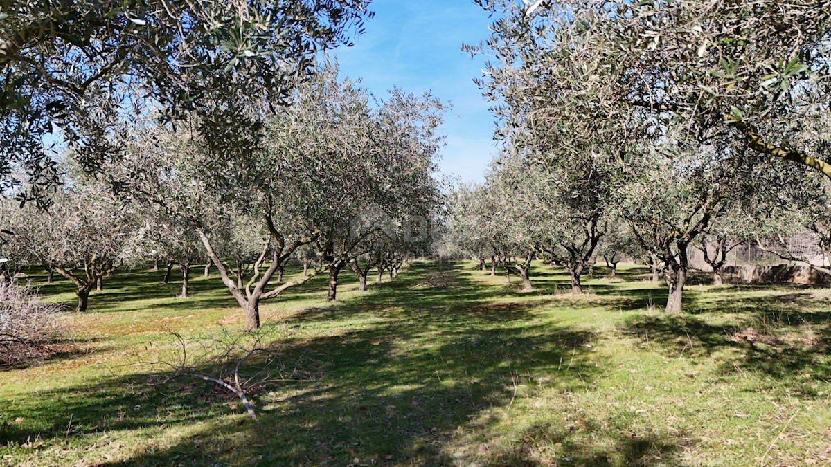 Terreno In vendita - PRIMORSKO-GORANSKA KRK