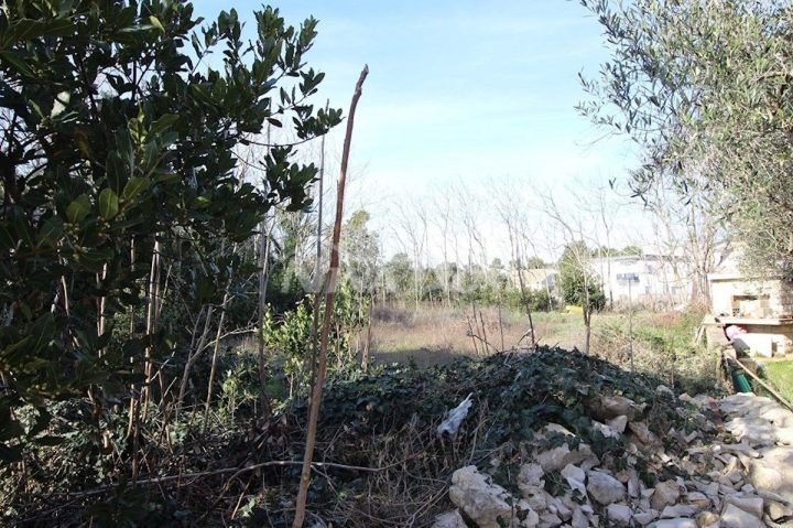 Terrain À vendre - Zadarska Vir - foto 2/3